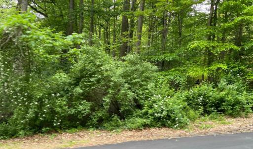 Photo #1 of 23360 MONROVIA RD, ORANGE, VA 56.0 acres