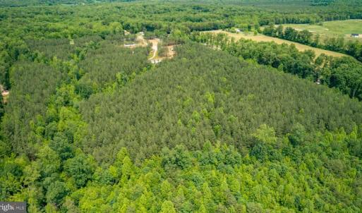 Photo #5 of JEFFERSON HIGHWAY, MINERAL, VA 25.1 acres