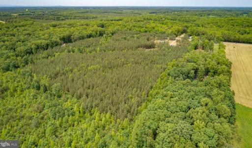 Photo #2 of JEFFERSON HIGHWAY, MINERAL, VA 25.1 acres