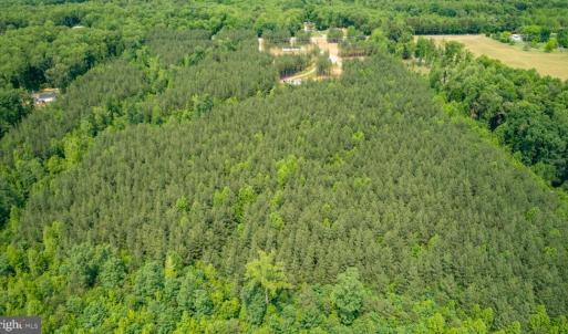 Photo #4 of JEFFERSON HIGHWAY, MINERAL, VA 25.1 acres