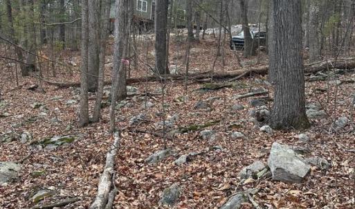 Photo #8 of FOREST EXT DR, LURAY, VA 1.8 acres