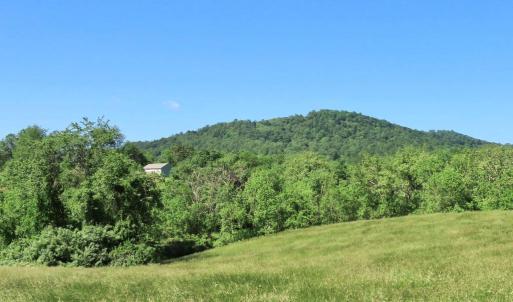 Photo #8 of BEN VENUE RD, FLINT HILL, VA 13.2 acres