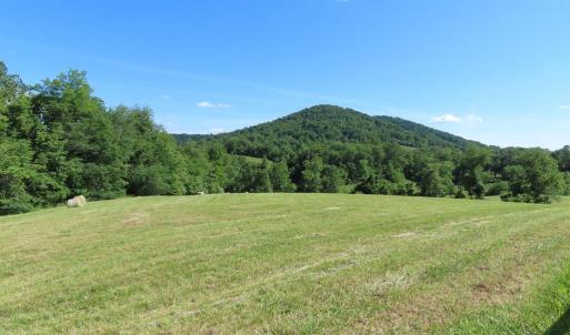 Photo #4 of BEN VENUE RD, FLINT HILL, VA 13.2 acres