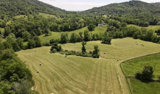Photo #5 of BEN VENUE RD, FLINT HILL, VA 13.2 acres