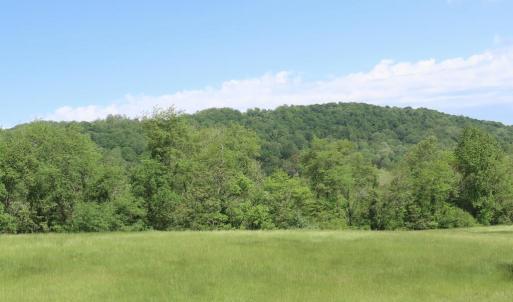 Photo #8 of BEN VENUE RD, FLINT HILL, VA 13.2 acres
