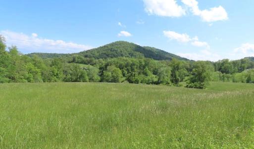Photo #9 of BEN VENUE RD, FLINT HILL, VA 13.2 acres