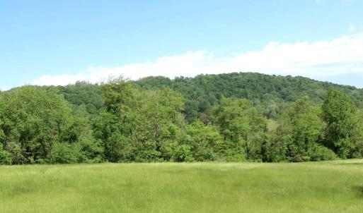 Photo #5 of BEN VENUE RD, FLINT HILL, VA 13.2 acres