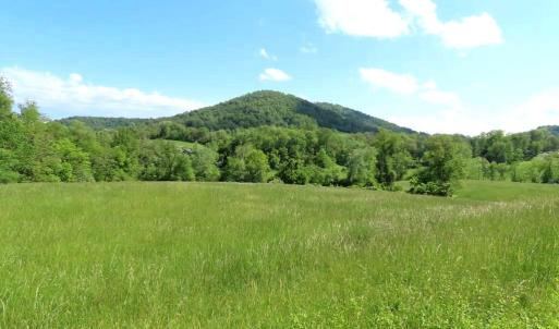 Photo #6 of BEN VENUE RD, FLINT HILL, VA 13.2 acres