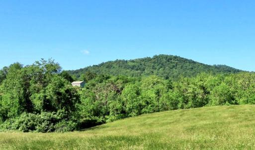 Photo #7 of BEN VENUE RD, FLINT HILL, VA 13.2 acres