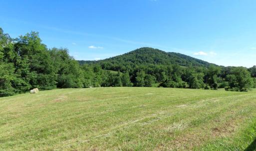 Photo #12 of BEN VENUE RD, FLINT HILL, VA 13.2 acres