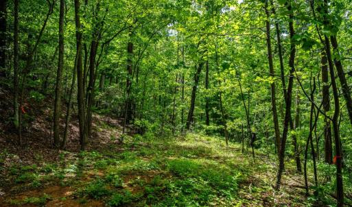 Photo #3 of HELMS RD, STANLEY, VA 1.2 acres