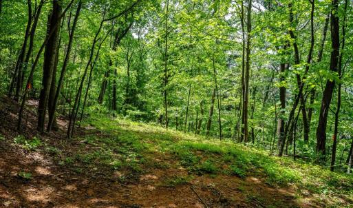 Photo #4 of HELMS RD, STANLEY, VA 1.2 acres