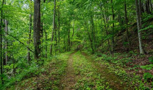 Photo #6 of HELMS RD, STANLEY, VA 1.2 acres