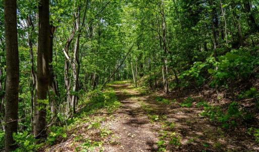 Photo #7 of HELMS RD, STANLEY, VA 1.2 acres