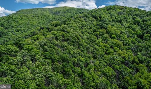 Photo #11 of HELMS RD, STANLEY, VA 1.2 acres