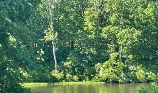 Photo #2 of 12511 HAWKINS LN, SPOTSYLVANIA, VA 0.5 acres