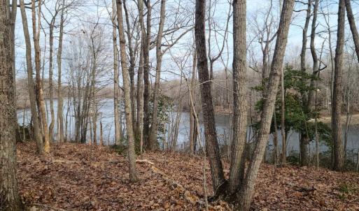 Photo #11 of 12511 HAWKINS LN, SPOTSYLVANIA, VA 0.5 acres
