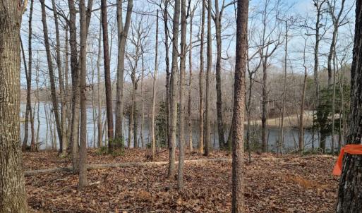 Photo #10 of 12511 HAWKINS LN, SPOTSYLVANIA, VA 0.5 acres