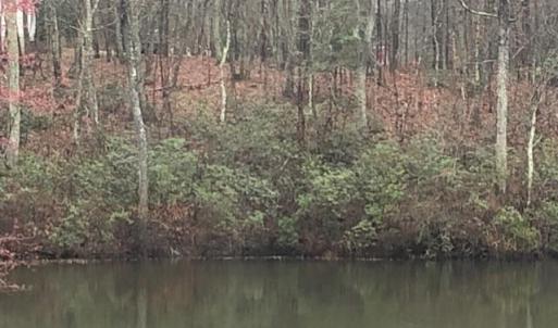 Photo #9 of 12511 HAWKINS LN, SPOTSYLVANIA, VA 0.5 acres