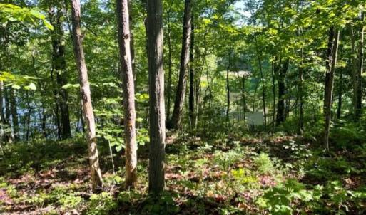 Photo #4 of 12511 HAWKINS LN, SPOTSYLVANIA, VA 0.5 acres