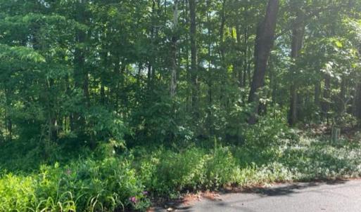 Photo #8 of 12511 HAWKINS LN, SPOTSYLVANIA, VA 0.5 acres