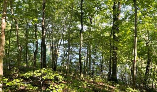 Photo #3 of 12511 HAWKINS LN, SPOTSYLVANIA, VA 0.5 acres