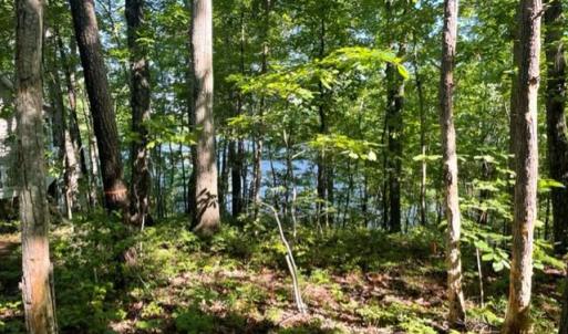 Photo #5 of 12511 HAWKINS LN, SPOTSYLVANIA, VA 0.5 acres