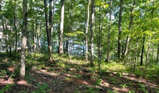 Photo #6 of 12511 HAWKINS LN, SPOTSYLVANIA, VA 0.5 acres