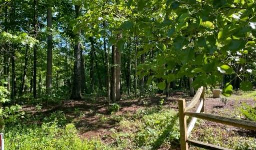 Photo #7 of 12511 HAWKINS LN, SPOTSYLVANIA, VA 0.5 acres