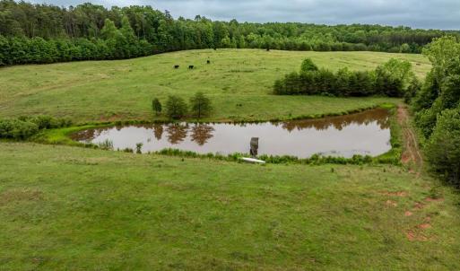 Photo #26 of 50 ELIZABETH, LOUISA, VA 28.5 acres