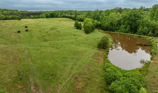 Photo #27 of 50 ELIZABETH, LOUISA, VA 28.5 acres