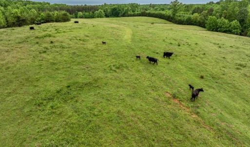 Photo #28 of 50 ELIZABETH, LOUISA, VA 28.5 acres