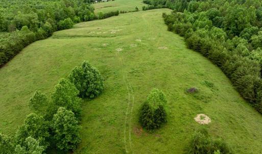 Photo #34 of 50 ELIZABETH, LOUISA, VA 28.5 acres