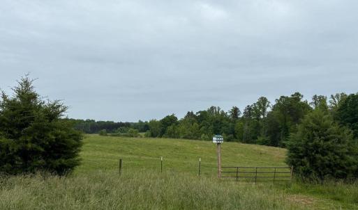 Photo #41 of 50 ELIZABETH, LOUISA, VA 28.5 acres