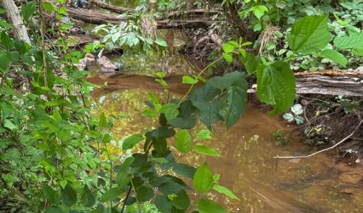 Photo #12 of RT. 17 AND RITCHIE ROAD, BEALETON, VA 2.4 acres