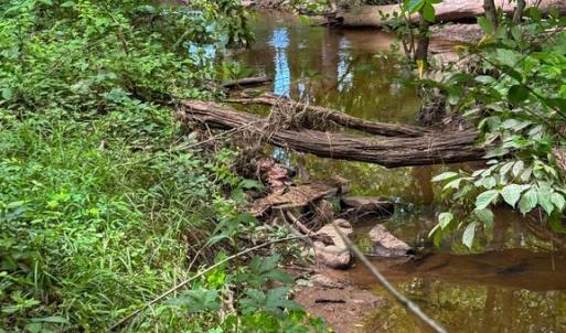 Photo #13 of RT. 17 AND RITCHIE ROAD, BEALETON, VA 2.4 acres