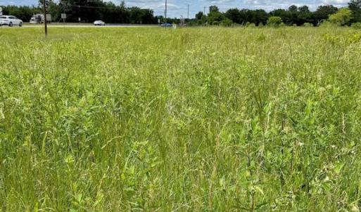 Photo #9 of RT. 17 AND RITCHIE ROAD, BEALETON, VA 2.4 acres