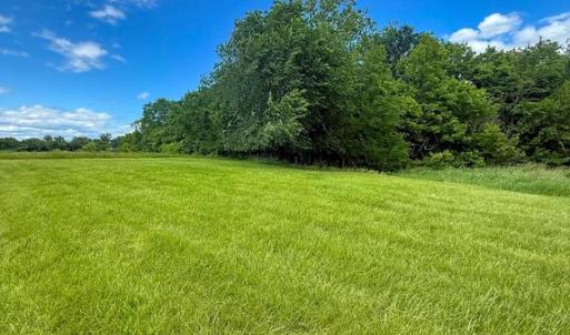 Photo #11 of RT. 17 AND RITCHIE ROAD, BEALETON, VA 2.4 acres