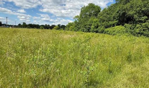 Photo #8 of RT. 17 AND RITCHIE ROAD, BEALETON, VA 2.4 acres