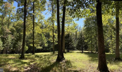 Photo #3 of 251 HAWK CIR, LOCUST DALE, VA 5.2 acres