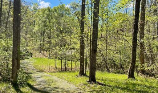 Photo #6 of 251 HAWK CIR, LOCUST DALE, VA 5.2 acres