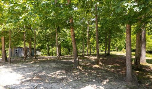 Photo #3 of PEACH GROVE ROAD, LOUISA, VA 13.5 acres