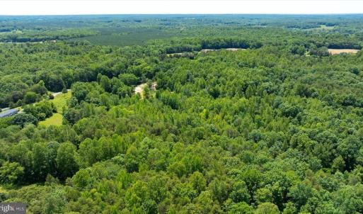 Photo #17 of PEACH GROVE ROAD, LOUISA, VA 13.5 acres