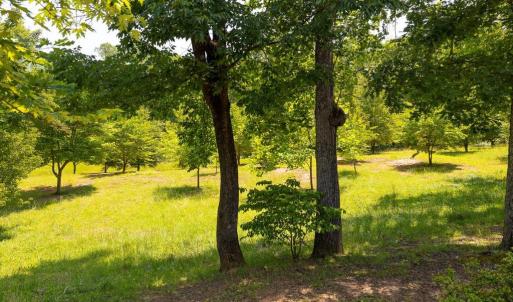 Photo #2 of PEACH GROVE ROAD, LOUISA, VA 13.5 acres