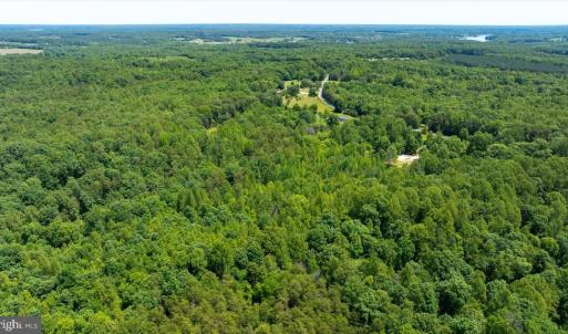 Photo #21 of PEACH GROVE ROAD, LOUISA, VA 13.5 acres