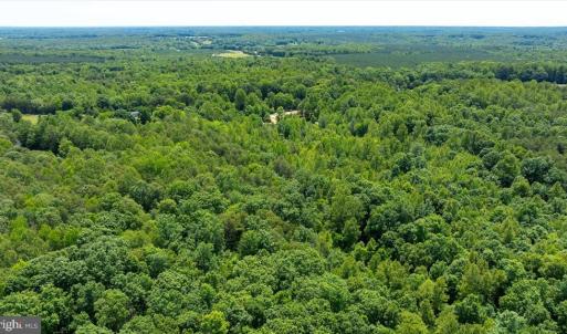 Photo #18 of PEACH GROVE ROAD, LOUISA, VA 13.5 acres