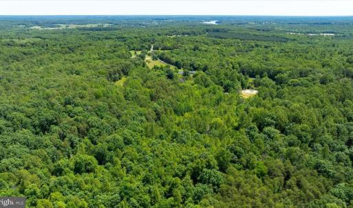 Photo #20 of PEACH GROVE ROAD, LOUISA, VA 13.5 acres