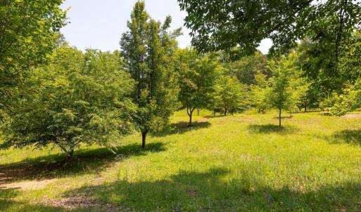 Photo #4 of PEACH GROVE ROAD, LOUISA, VA 13.5 acres