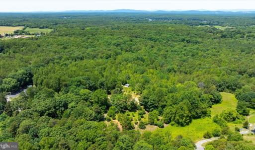 Photo #12 of PEACH GROVE ROAD, LOUISA, VA 13.5 acres