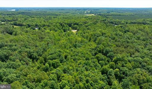 Photo #19 of PEACH GROVE ROAD, LOUISA, VA 13.5 acres